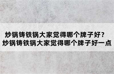 炒锅铸铁锅大家觉得哪个牌子好？ 炒锅铸铁锅大家觉得哪个牌子好一点